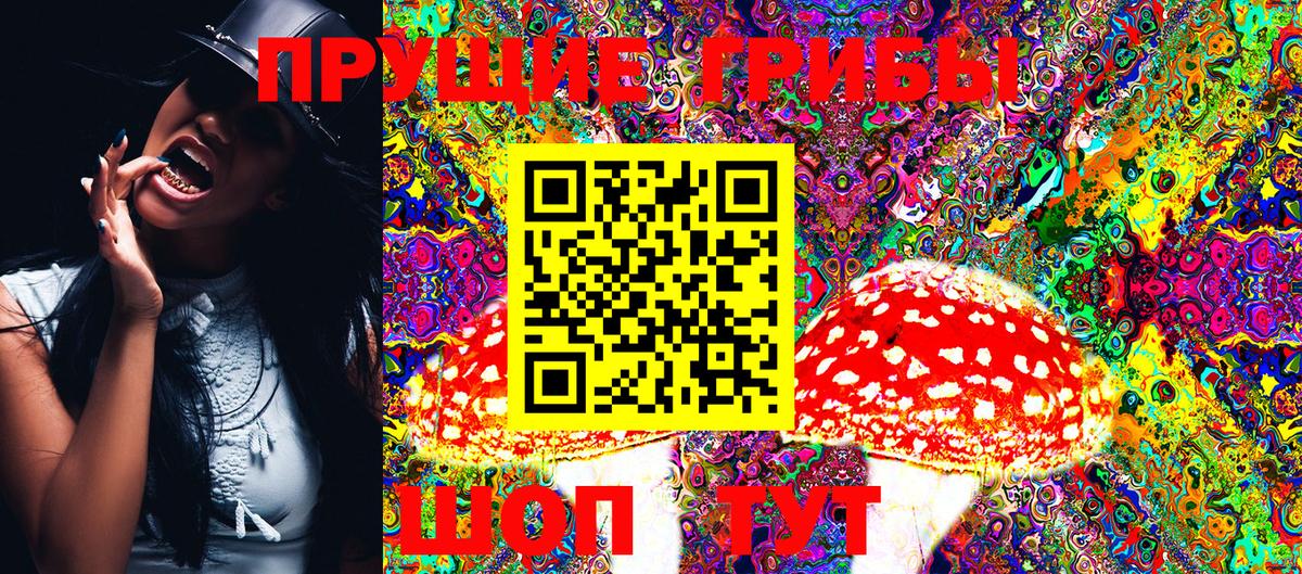 Галлюциногенные грибы Psilocybine cubensis  Вход с VPN  Галлюциногенные грибы Cubensis  Полевской 